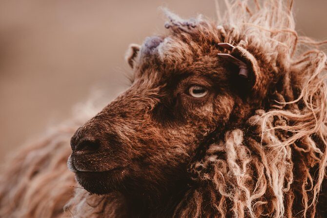 Wonders of Vágar Island | Private Experience - Final thoughts