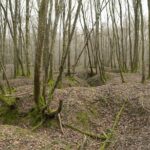 World War 1 Walk Through Trenches and Bunkers - FAQs