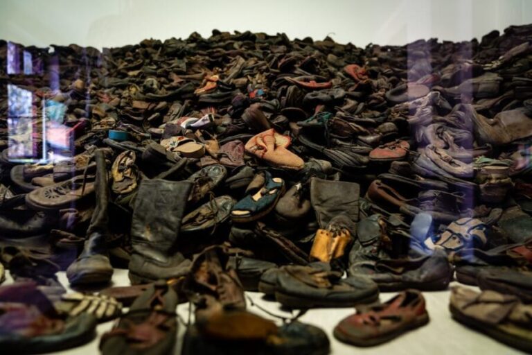 Wroclaw to Auschwitz-Birkenau Private Full-Day Trip by Car - The Guided Tour: Deep, Respectful, and Well-Structured