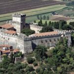 WWII Anzio and Surroundings Veteran Private Tour - Who Will Love This Experience?