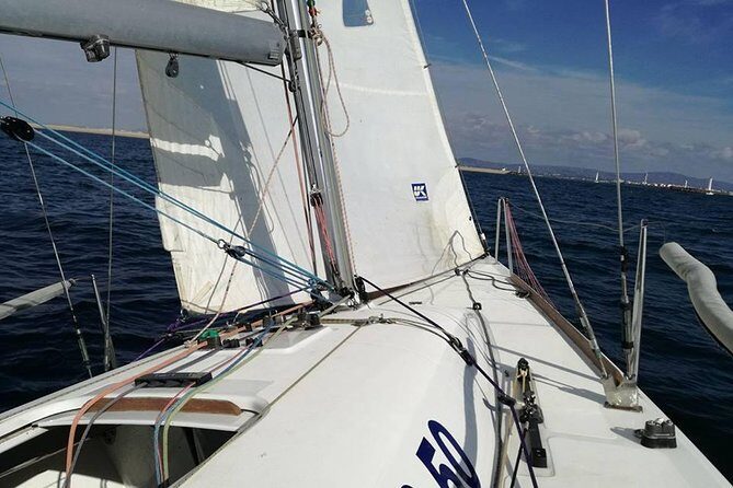 Your first experience Sailing - Private Trip in Ria Formosa - The Sailing Experience: Active or Relaxing?
