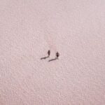 Your Tailored Elafonisi Escape. Luxury Day Tour from Heraklion. - The Value of a Private, Tailored Tour