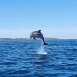 Zadar 1/2 Day Boat Tour with Skipper - What to Expect During Your Time on Board