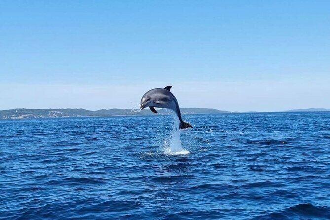 Zadar 1/2 Day Boat Tour with Skipper - What to Expect During Your Time on Board