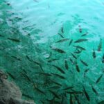 Zagreb airport or Zagreb to Split via Plitvice lakes for singles or couples - What Makes This Tour Stand Out?