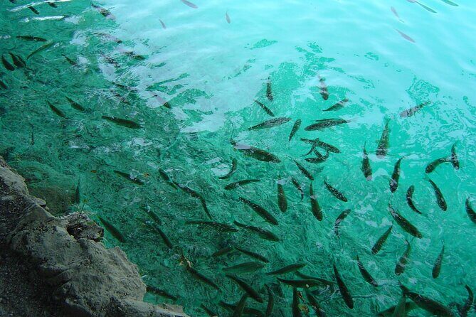 Zagreb airport or Zagreb to Split via Plitvice lakes for singles or couples - What Makes This Tour Stand Out?