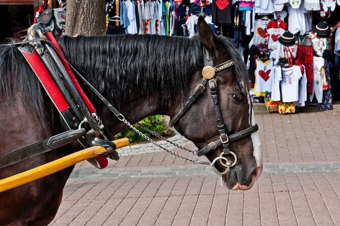 Zakopane and Chocholow Thermal Baths Tour from Krakow - Who Should Consider This Tour?