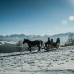 Zakopane and Horse Sleigh Ride in the countryside, private tour from Krakow - The Sum Up