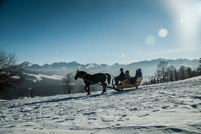 Zakopane and Horse Sleigh Ride in the countryside, private tour from Krakow - The Sum Up