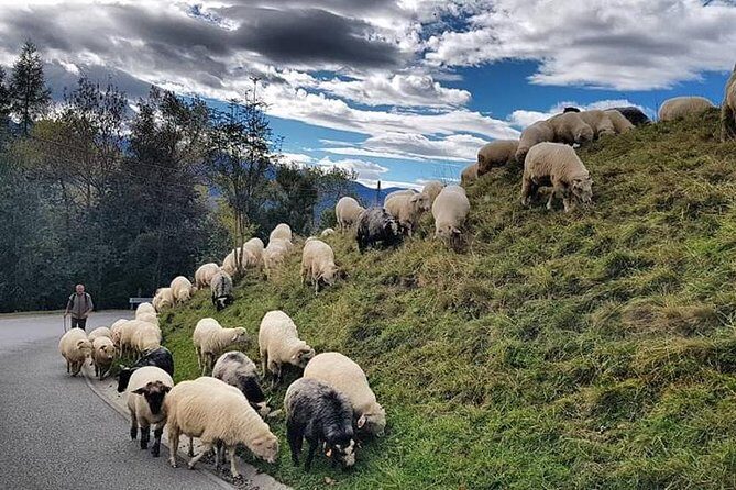 Zakopane Private Tour - Authentic Guides & Local Insights