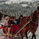 Zakopane Sleigh Ride in Tatra Mountains - The Itinerary: What to Expect