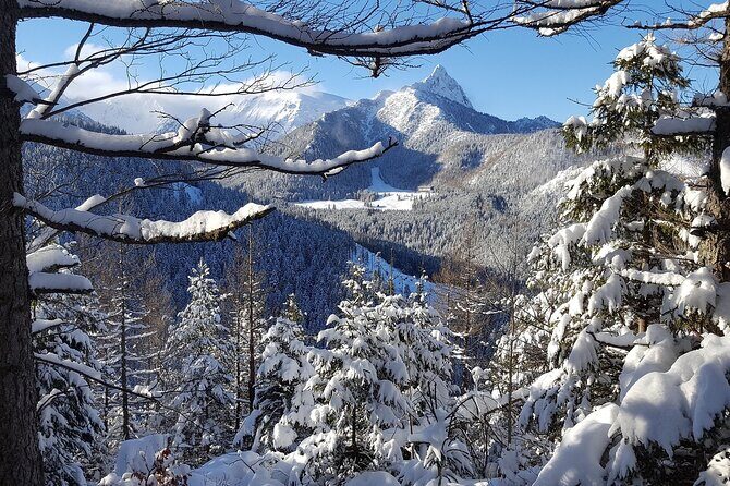 Zakopane - The Winter Wonderland - Private Tour from Krakow - What You Value in This Tour