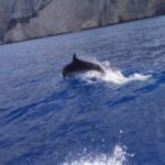 Zakynthos: early morning Shipwreck,Blue Caves and view point - Exploring the Itinerary in Detail