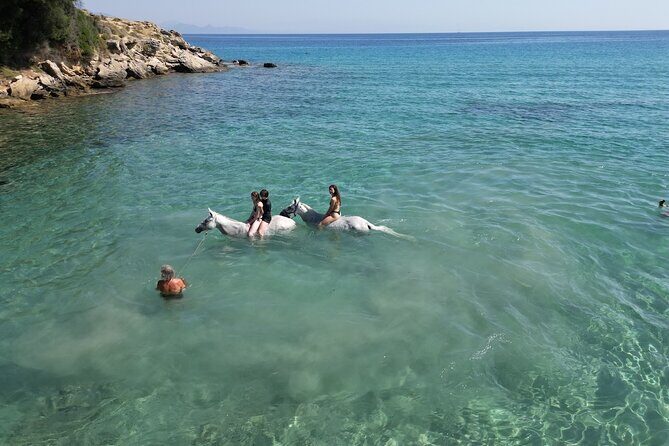 Zakytnhos Horse Riding Swimming Experience - Who Is This Tour Best Suited For?