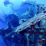 Zenobia Wreck: Private Guided Dive - What to Expect from the Zenobia Wreck Guided Dive