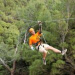 Zip line Tucepi - What to Expect from the Tour