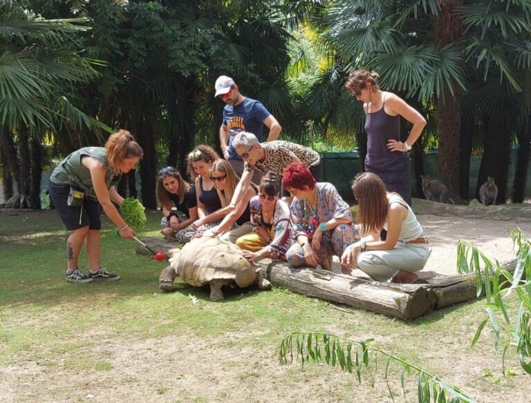 Zoo al Maglio: 1-Day Ticket for the Jungle of Ticino - Who is This Tour Best For?