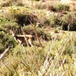 Adventure Cahorros, Monachil/ Climbing and abseiling Granada - Is it Worth the Price?