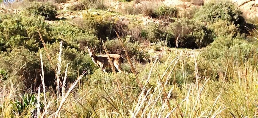 Adventure Cahorros, Monachil/ Climbing and abseiling Granada - Is it Worth the Price?