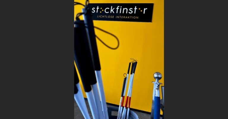 Adventure Darkness - Guided tour in the dark - Accessibility, Group Size, and Practicalities