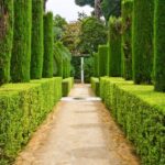 Alcazar of Seville VIP Tour - The Experience: A Closer Look at the Alcazar VIP Tour