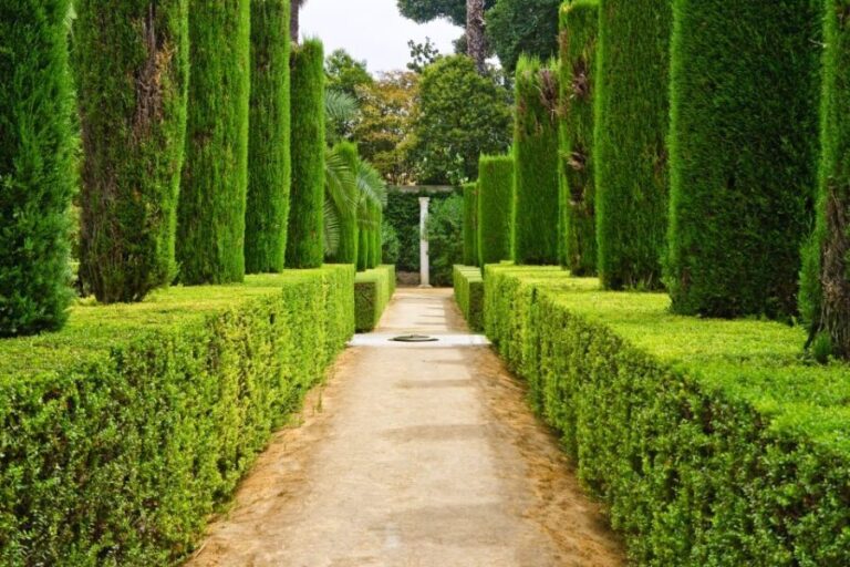 Alcazar of Seville VIP Tour - The Experience: A Closer Look at the Alcazar VIP Tour