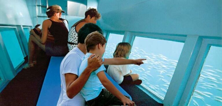 Alcudia: Boat Trip to Coll Baix - The Itinerary in Detail