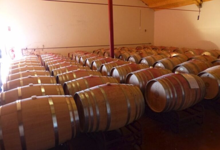 Algarve wine tour and mountain top trip with lunch or dinner - What Makes This Tour Stand Out?