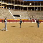 Alicante: Private Guided Visit to Alicante Bullring & Museum - Who Should Consider This Tour?