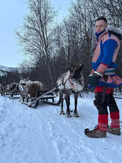 Alta: Reindeer Ride - The Value of the Experience
