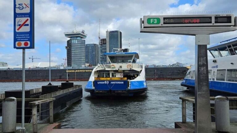 Amsterdam: North Amsterdam Bike Tour - Who Will Love This Tour?