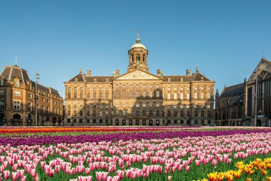 Amsterdam: Skip-the-line Royal Palace Private Guided Tour - A Deep Dive Into the Experience