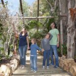 Arona: Entry Ticket to Tenerife's Jungle Park Zoo - The Shows: Entertainment with an Educational Edge