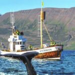 Árskógssandur: Whale-Watching Boat Trip - Authentic Encounters with Icelands Marine Wildlife