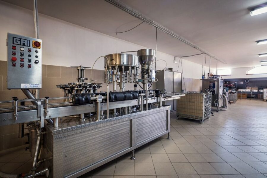 Assisi: Organic Winery Tour with Tastings & Typical Food - Is This Tour Worth It?