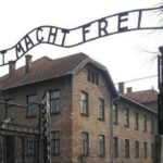 Auschwitz-Birkenau and Krakow Private Car Trip from Katowice - The Sum Up