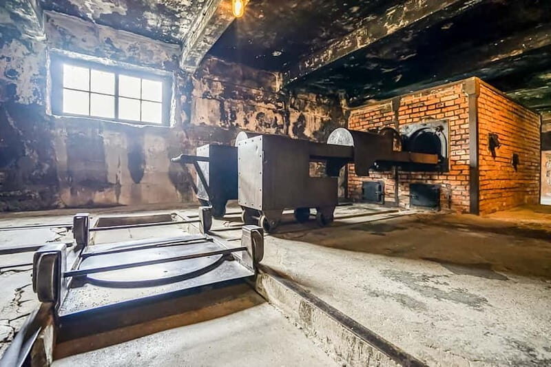 Auschwitz-Birkenau Skip-the-Line Guided Tour - Authentic Experiences & Insights from Visitors