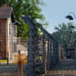 Auschwitz-Birkenau Tour from Katowice with Private Transfers - The Cost and Value
