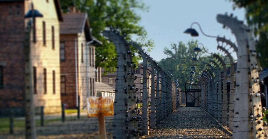 Auschwitz-Birkenau Tour from Katowice with Private Transfers - The Cost and Value