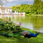 azienki Park and Palace Warsaw Private Tour with Tickets - Final Thoughts: Who Should Consider This Tour?