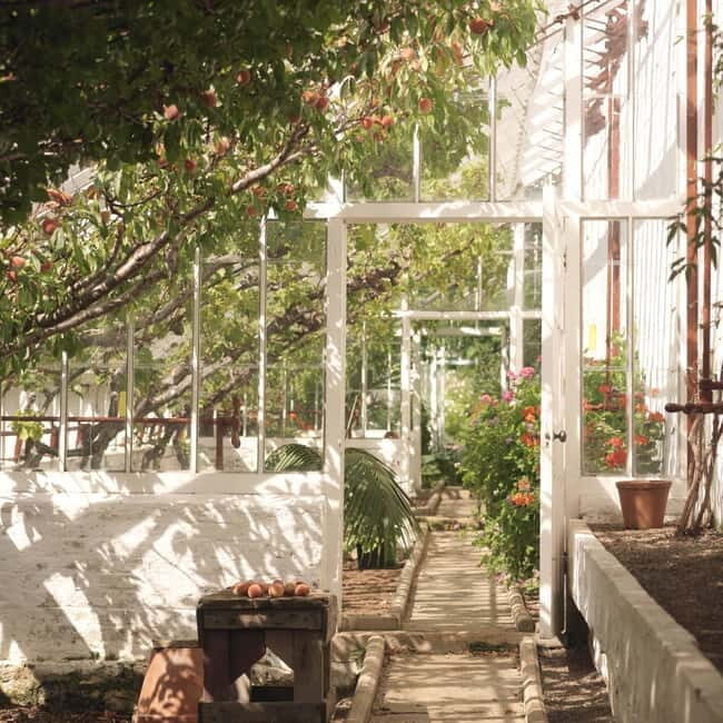 Ballymena: Walled Garden and Woodland Walk Entry Ticket - An In-Depth Look at the Experience