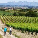 Barcelona: Guided Half-Day Wine and Electric Bike Tour - Practical Details and Value