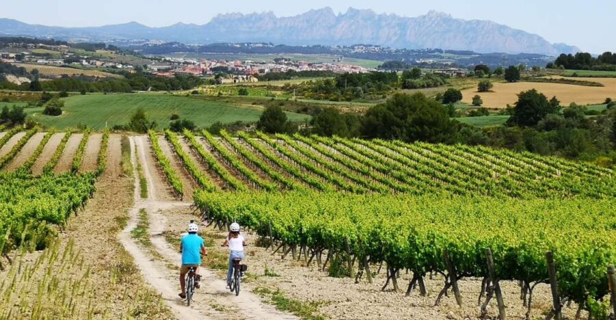 Barcelona: Guided Half-Day Wine and Electric Bike Tour - Practical Details and Value