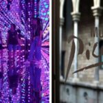 Barcelona: Picasso Museum Tour with Moco Museum Ticket - Final Thoughts