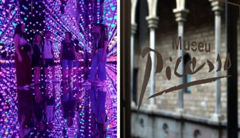 Barcelona: Picasso Museum Tour with Moco Museum Ticket - Final Thoughts