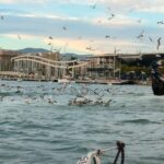 Barcelona: Sunset Cruise with Snacks and Drinks - The Experience in Detail