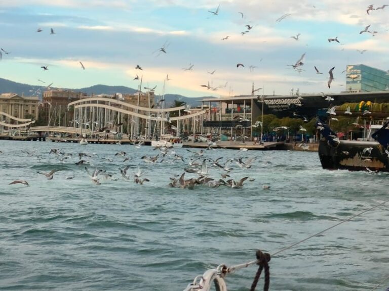 Barcelona: Sunset Cruise with Snacks and Drinks - The Experience in Detail