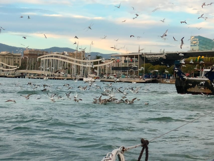 Barcelona: Sunset Cruise with Snacks and Drinks - The Experience in Detail