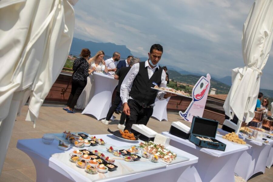 Bardolino: tasting of 6 red Valpolicella and Garda wines - Who Will Love This Experience?