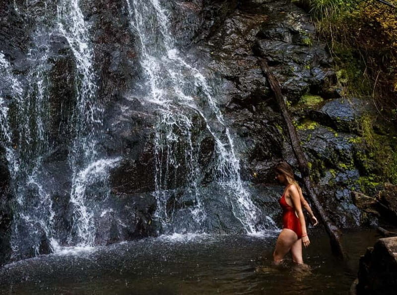 Batumi: Makhuntsti, Machakheta, & Mirveti Tour with Lunch - Key Points